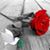 Humberto J Ramirez's profile image