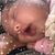 Norma Quiroz's profile image