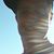 Shani Heckman's profile image