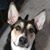 Steven E Dawes's profile image