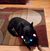 Judy Cleveland's profile image