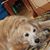 Marcia Walls Simmons's profile image
