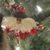 Cindy Brown's profile image