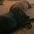 Shannon Sharp Stephens's profile image
