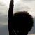 Roberta Brown's profile image