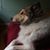 Mark Brown's profile image