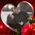 Alissa Holman's profile image