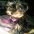 Yvonne Corona's profile image