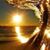 Dawne Marie's profile image