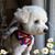 Diane Dileo's profile image
