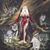 Kristi Evans Fell's profile image