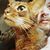 Ben Ziff's profile image
