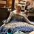 Marjorie Mckay-Gurley's profile image