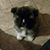 Andy Tilson's profile image