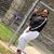 Lauren DaNae's profile image