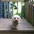Andrew Shaw-Kitch's profile image