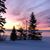 Connie Kirvida-Lehr's profile image