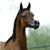 Carol Stalnaker's profile image