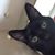 Susan Jo Reader Jewell's profile image