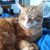 Vickie Britt Crowder's profile image