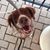 Barb Castillo Noyes's profile image