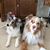 Kelly McAtee's profile image
