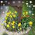 Anna Gunderson's profile image