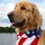 Paul Cauvin's profile image