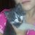 Diane Petrovich's profile image