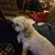 Jennifer McRobbie Heins's profile image
