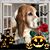 Lisa Capaci's profile image