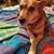 Melissa Anne Traeger's profile image