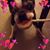 Kim Burckard's profile image