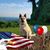 Misty Evans's profile image