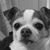 Lilia Doyle's profile image