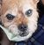 Tami Olson Ferr's profile image