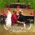 Sherry Turley's profile image