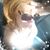 Claudia Ivonne Martinez's profile image