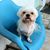 Vincent Beltran's profile image