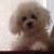Lisa Lavin's profile image