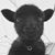 Michael Smith's profile image