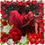 Regina McDowell's profile image