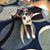 Susan Chaharyn Robert's profile image