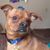 Debbie Lynn Lyman's profile image