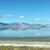 Carolyn Lamb Raines's profile image