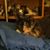 Julie Smith's profile image