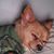 Teri Bracy's profile image