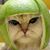 Courtney Miller's profile image