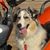 Cady Fayard's profile image