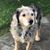 Autumn Redder's profile image